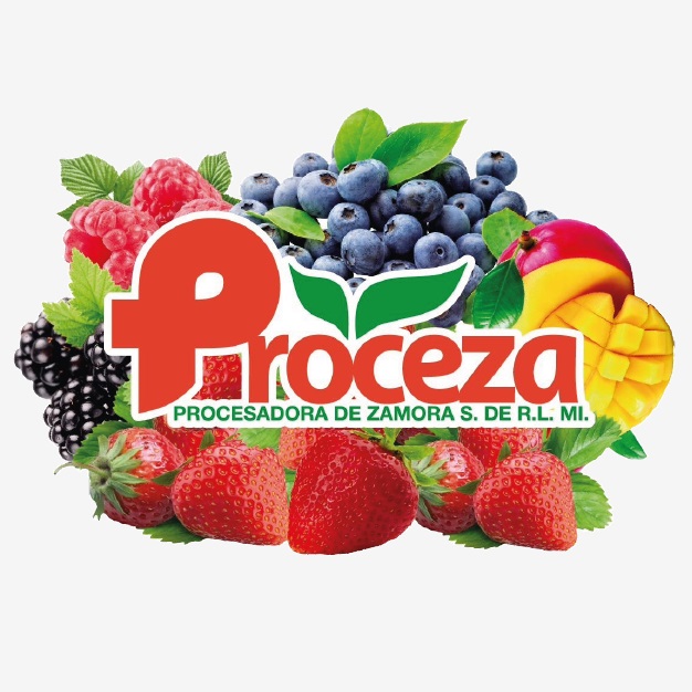 Procesadora de Zamora S. de R.L. MI.